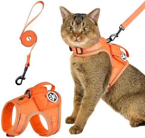 5. OneTigris Cat Harness and Leash — Best for Trackers and Gear