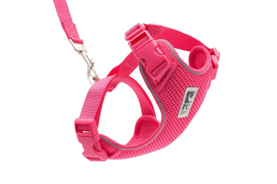 6. RC Pets Adventure Kitty Harness — Best Step-In Design