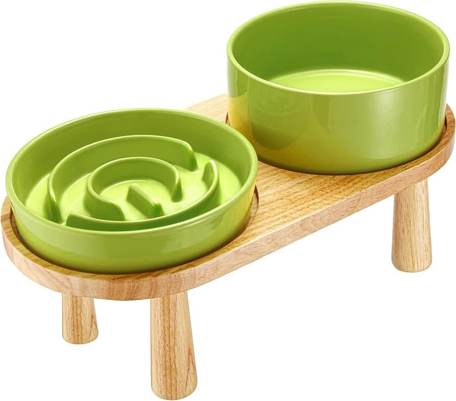 6. Havniva Ceramic Slow Feeder Set — Best Slow Feeder