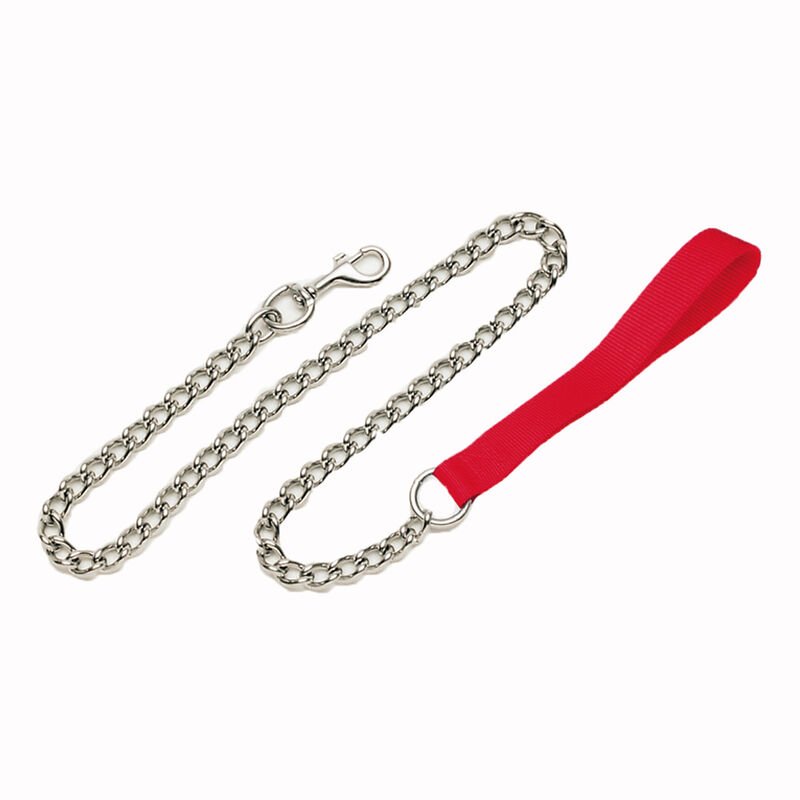 5. YOUALSO Chain Leash (2.0 mm x 4 ft) — Best for Small Dogs