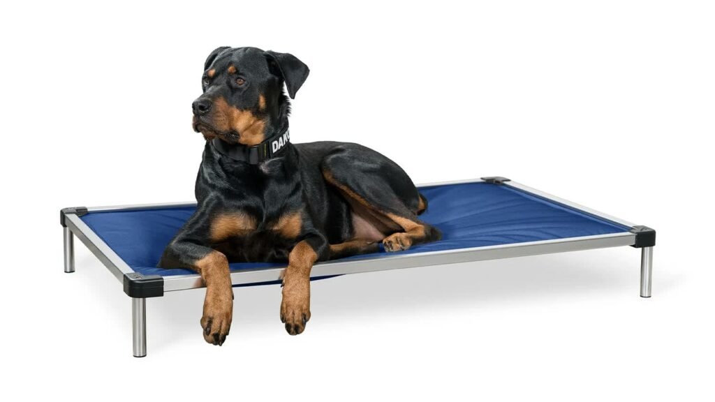 Chew Proof Dog Bed for Crate 2026: 6 Picks