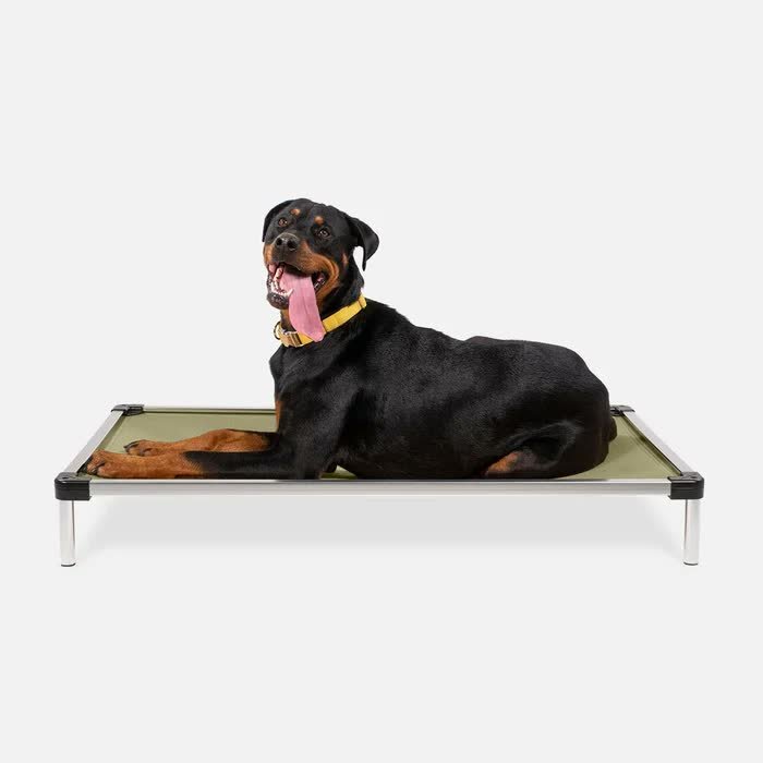 4. K9 Ballistics Chew Proof Elevated Dog Bed — Best No-Padding Option