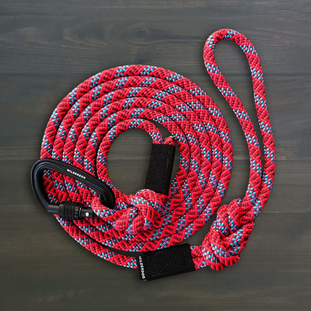 2. Wilderdog Carabiner Climbing Rope Leash (10 ft) — Best Long Rope