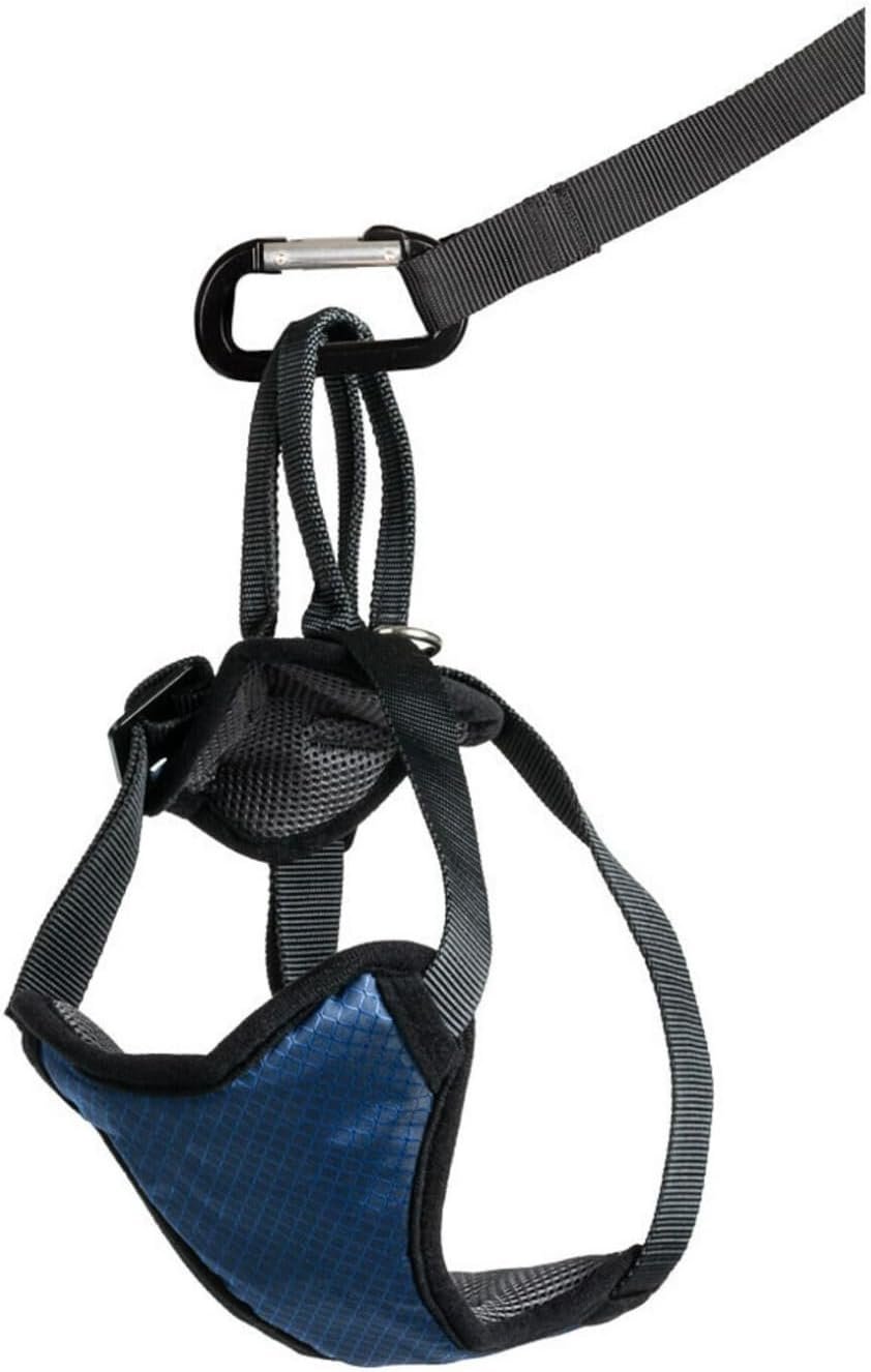 3. PetSafe Happy Ride — Best Budget Tested