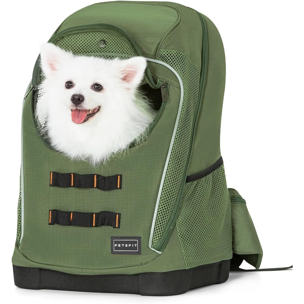 Petsfit Cat Backpack — Best Carry Comfort