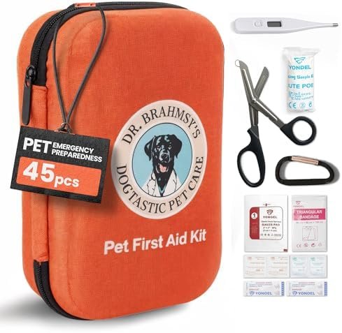 4. Dr. Brahmsy's 45-Piece Kit — Best Waterproof Compact