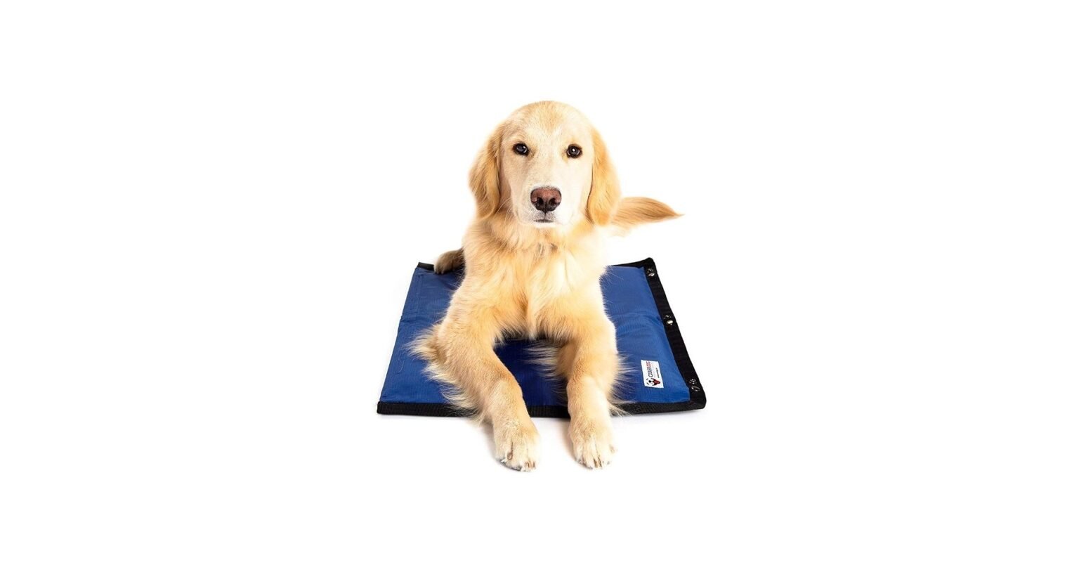 CoolerDog Hydro Cooling Mat Review 2026: Worth It? The Basics