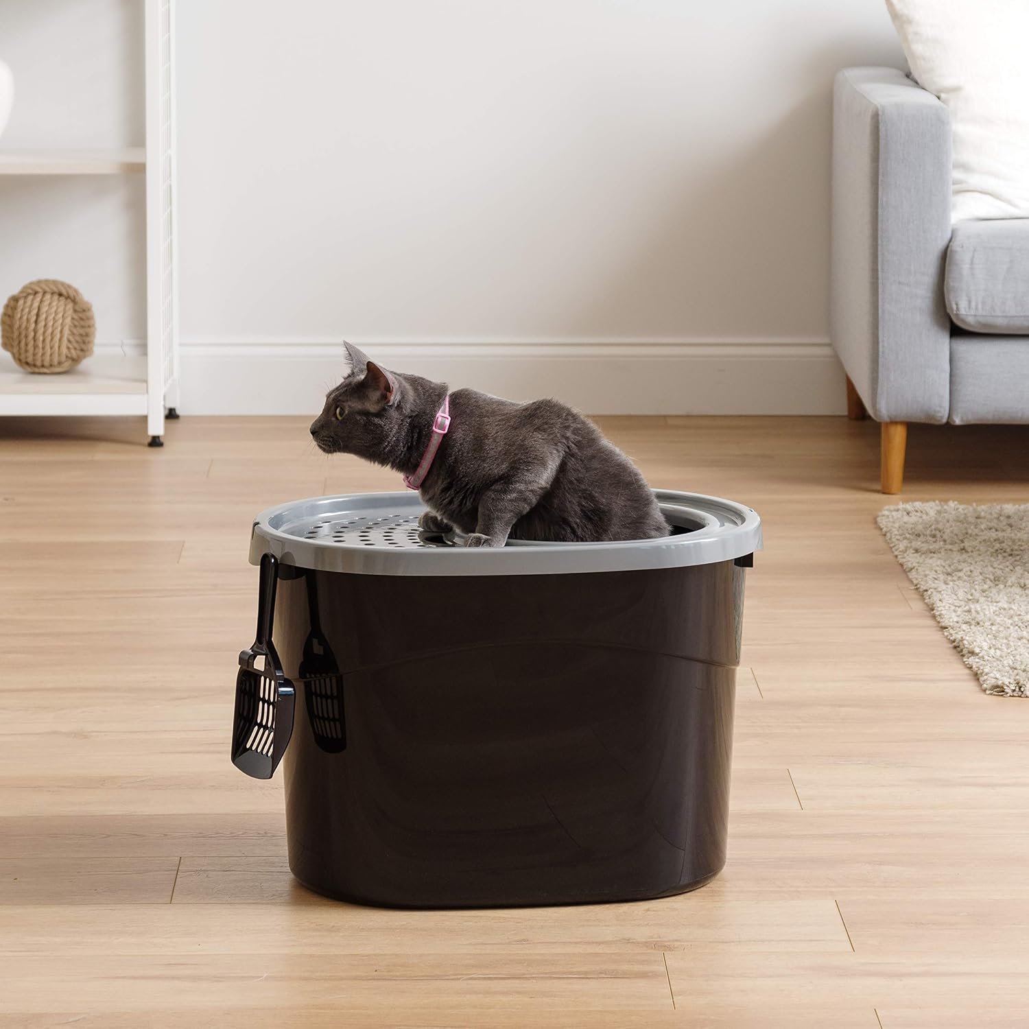 2. IRIS USA Large Top Entry Cat Litter Box — Best Top-Entry / Dog-Proof