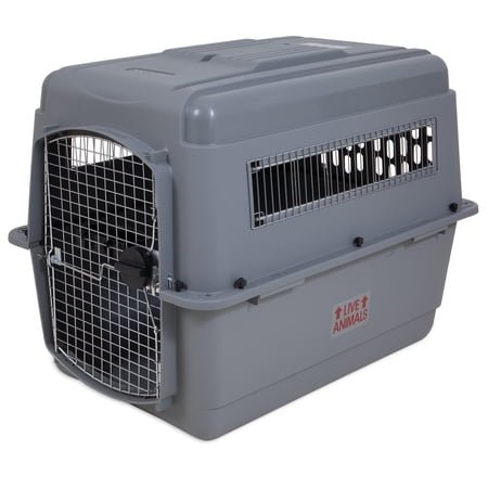 1. Petmate Sky Kennel, 36-Inch — Best Heavy-Duty Overall