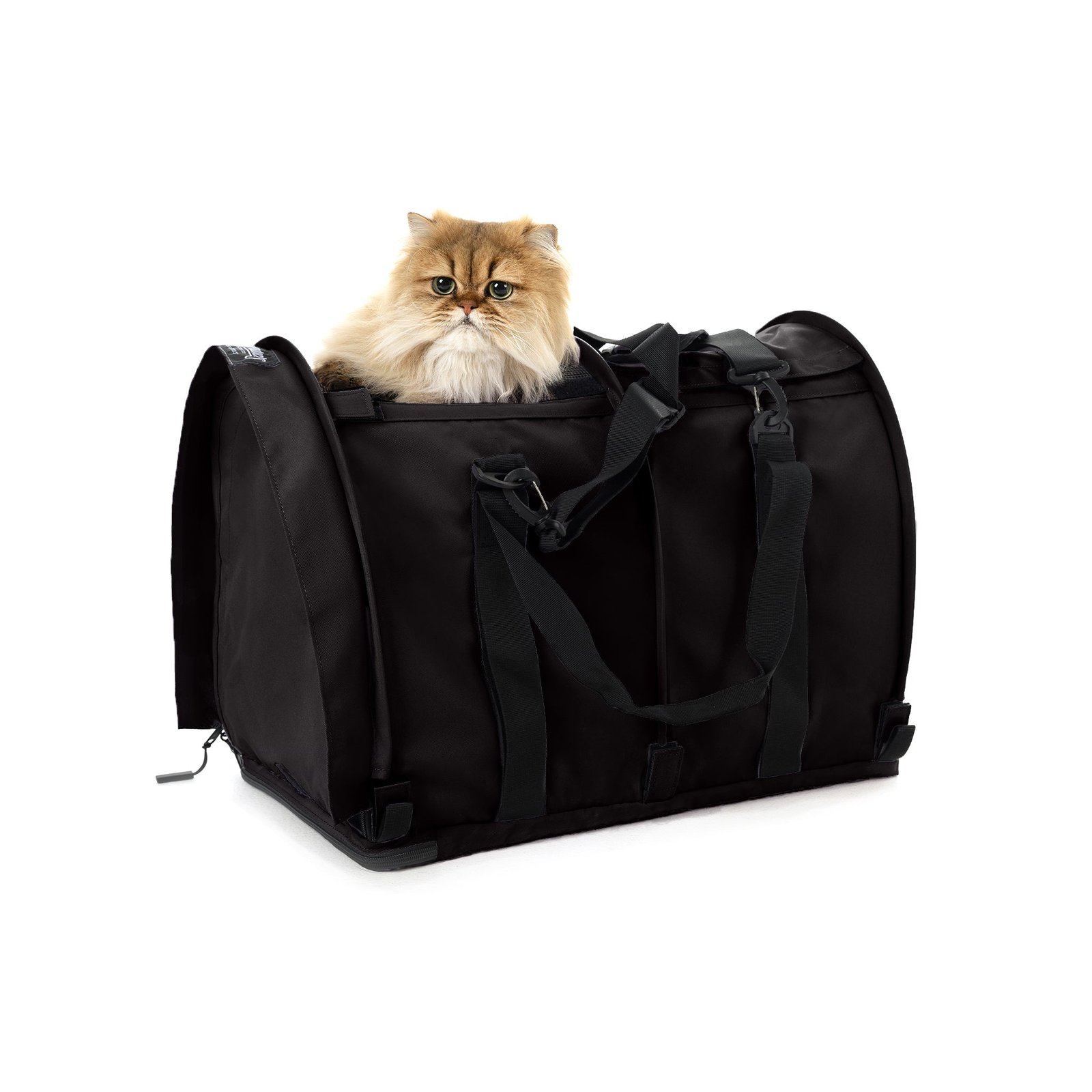 5. SturdiBag Large Pet Carrier — Best Spacious (Not Crash-Tested)