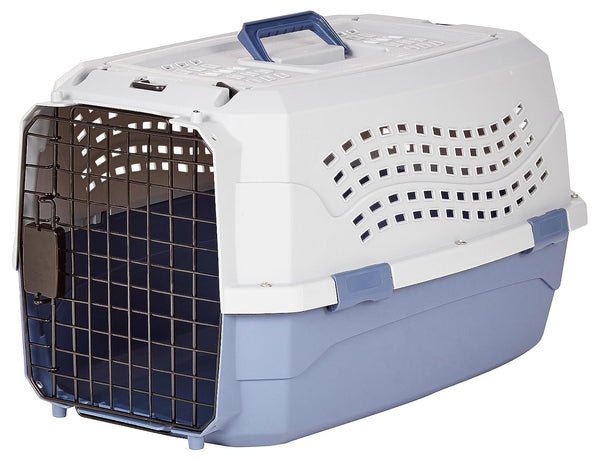 6. Amazon Basics Two-Door Top-Load Carrier, 19-Inch — Best Hard Budget (Not Crash-Tested)