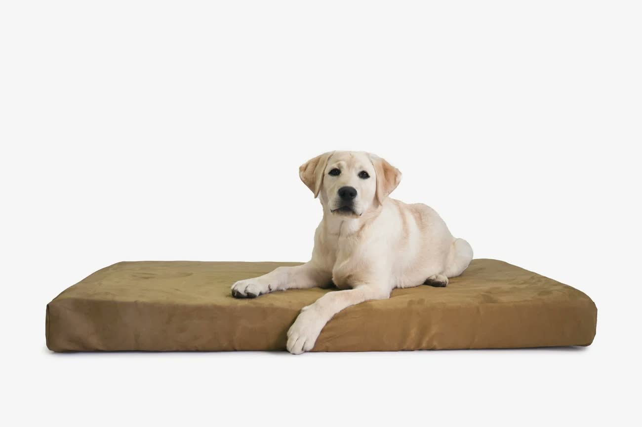 3. Big Barker Orthopedic 4″ Crate Pad — Best Orthopedic Support