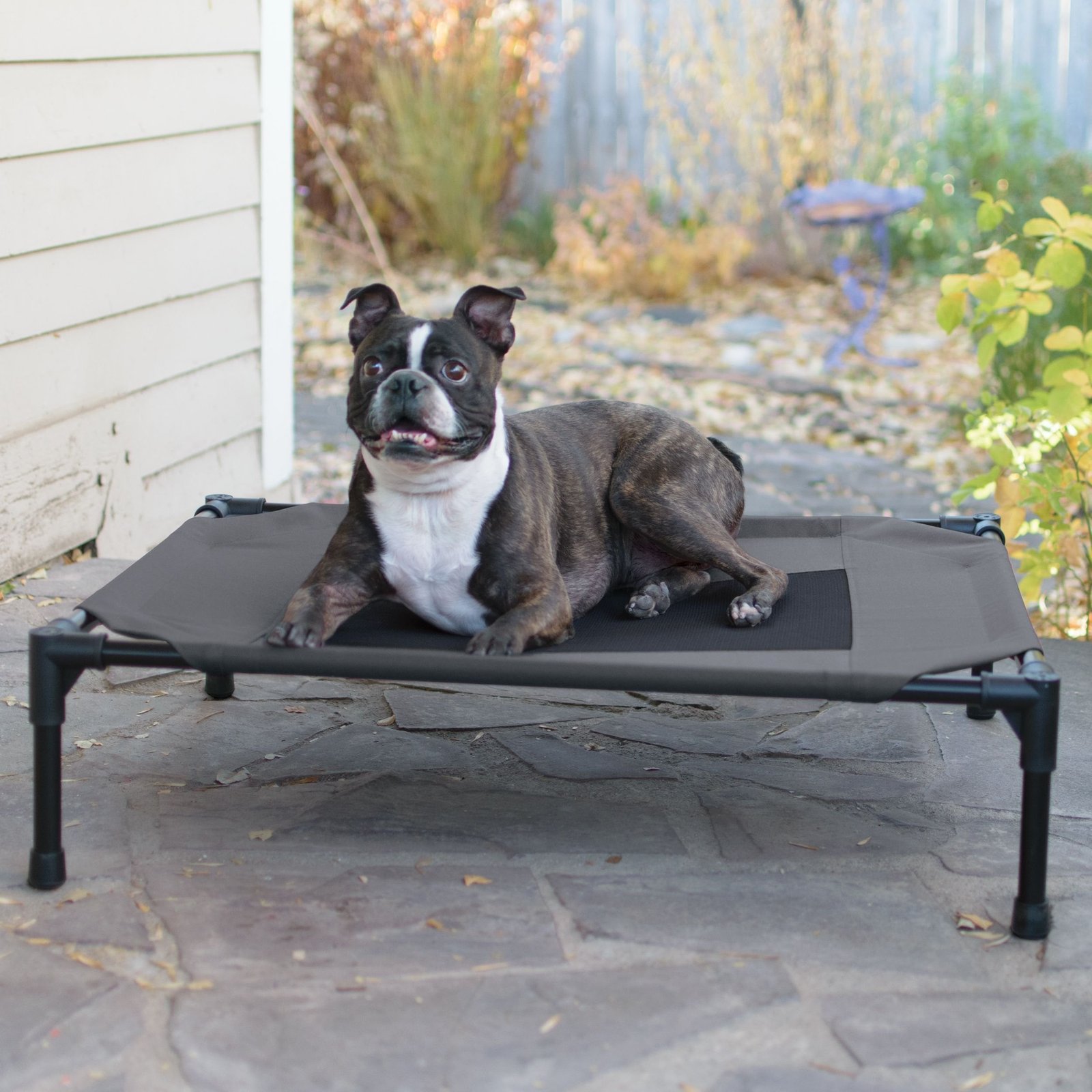K&H Original Pet Cot (Gray/Black Mesh, Medium) — Best Medium Size