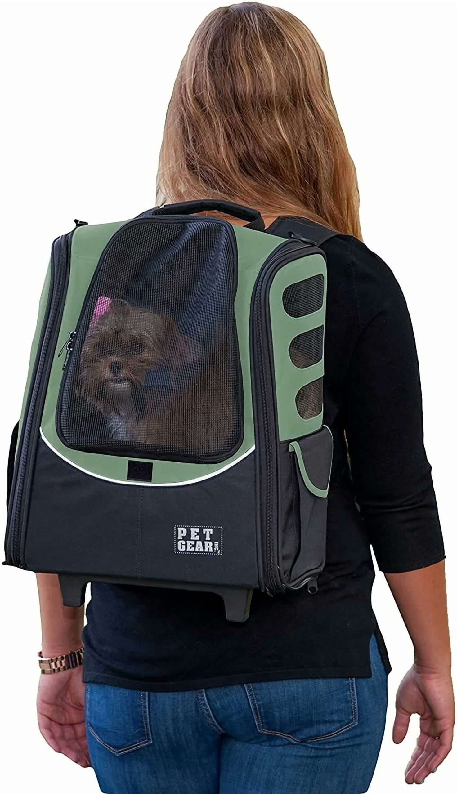 2. Pet Gear I-GO2 Traveler — Best 5-in-1 Versatility