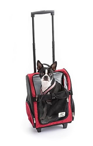 5. Snoozer Roll Around 4-in-1 (Large) — Best for Dogs up to 30 lbs