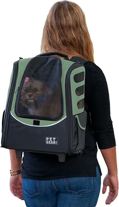 6. Pet Gear I-GO2 Escort — Best Budget 5-in-1