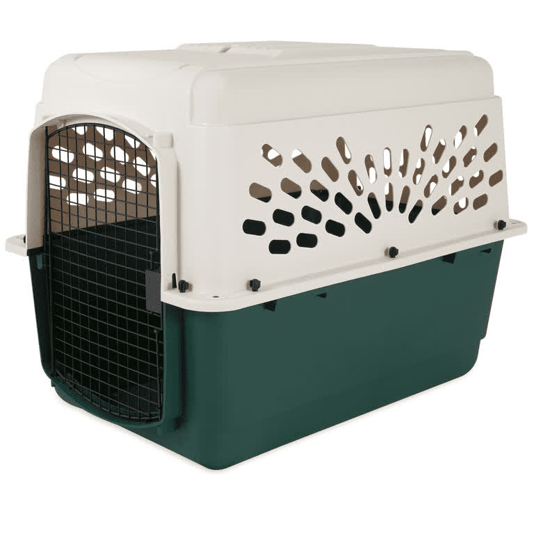 6. Petmate Ruffmaxx (36″) — Best Basic Travel Kennel