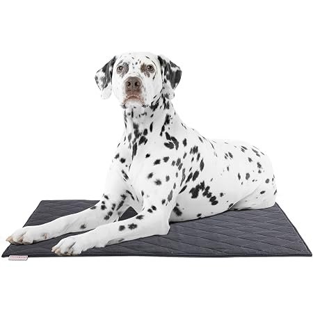 4. HOMBYS Chew Proof Crate Pad (22″ x 35″) — Best for Chewers