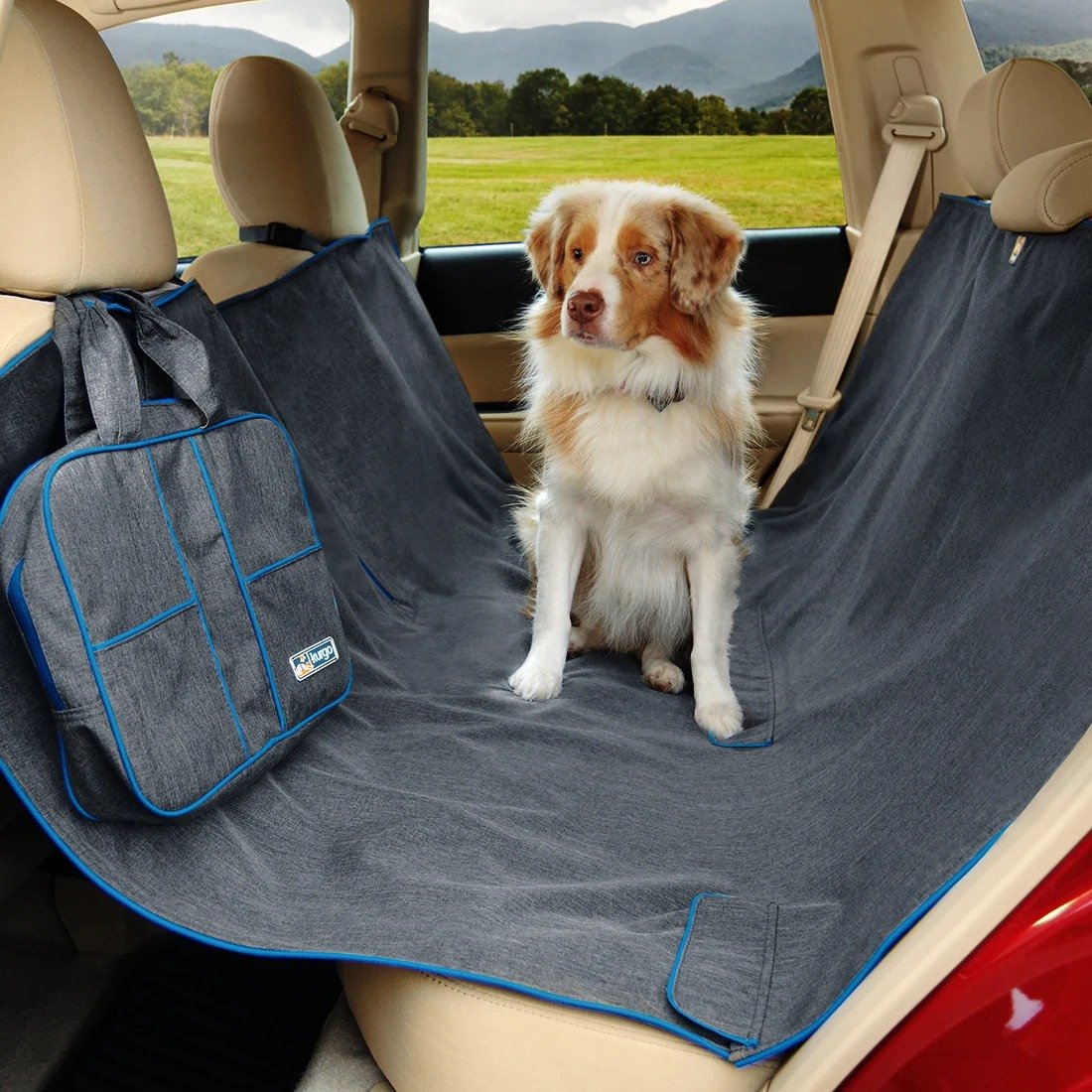 4. Kurgo Wander Hammock — Best Brand Pick