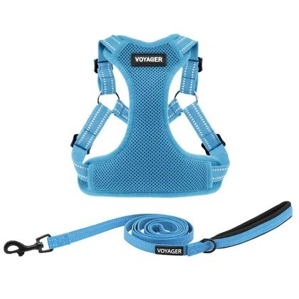 2. Best Pet Supplies Voyager Step-in Flex Set — Most Adjustable