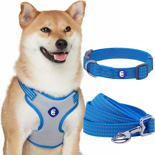 3. Blueberry Pet Essentials 3-Piece Set — Best 3-Piece Value