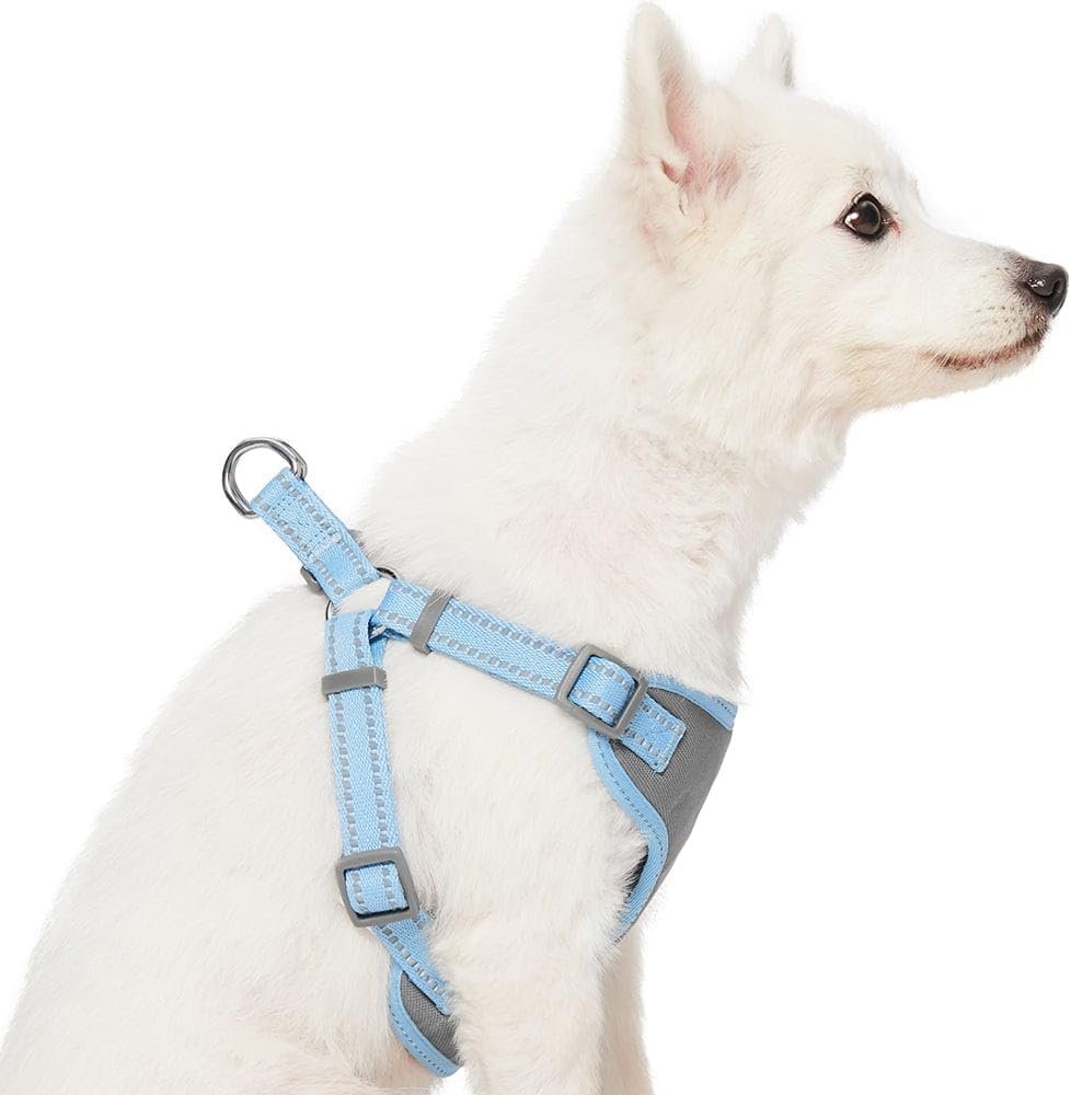 4. Blueberry Pet Pastel Vest Harness + Leash Set — Style Pick