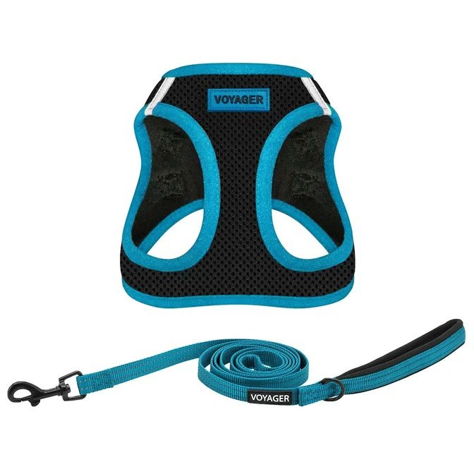 1. Best Pet Supplies Voyager Step-in Air Harness + Leash Set — Best Overall
