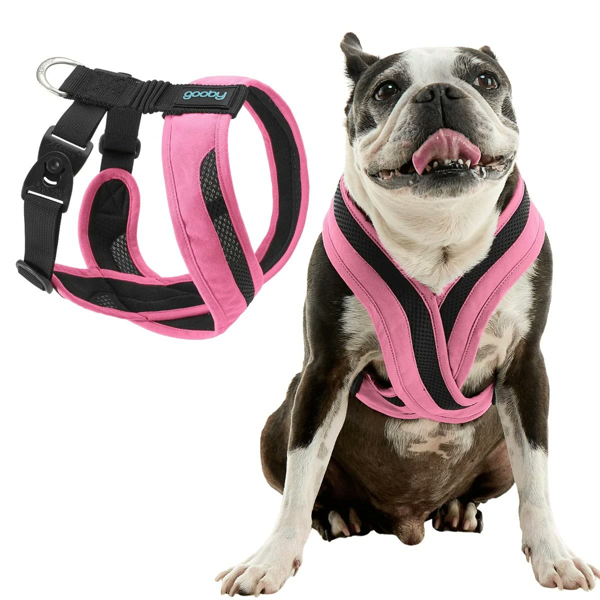 5. Gooby Comfort X Head-In Harness — Fragile Tracheas