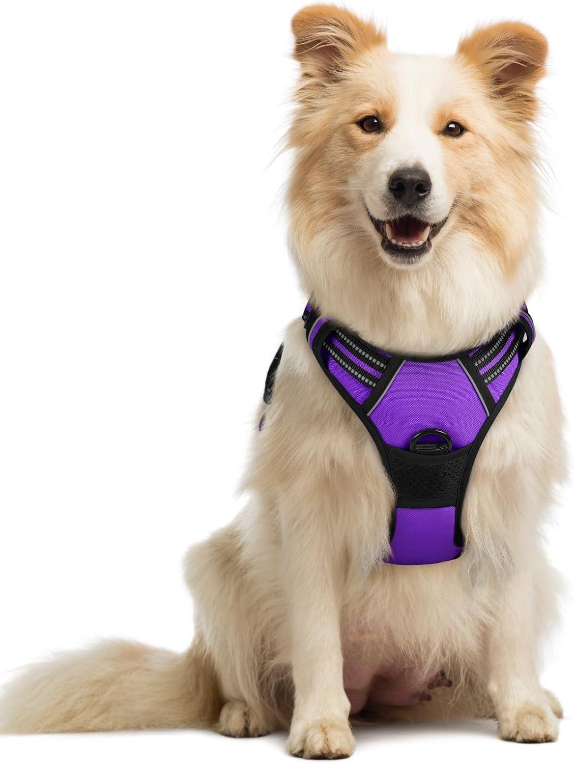 4. rabbitgoo No-Pull Dog Harness — Best Value Padded Vest