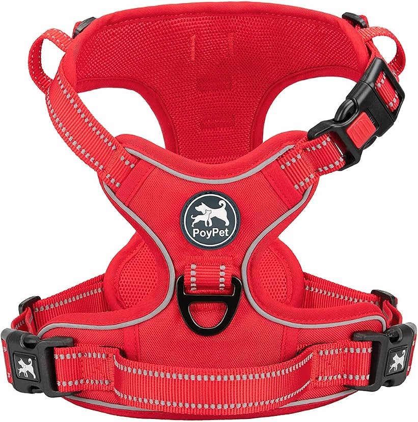 5. PoyPet No-Pull Harness — Best for Head-Shy Dogs