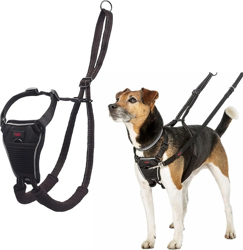 6. Halti No-Pull Harness — Best for Escape-Prone Pullers