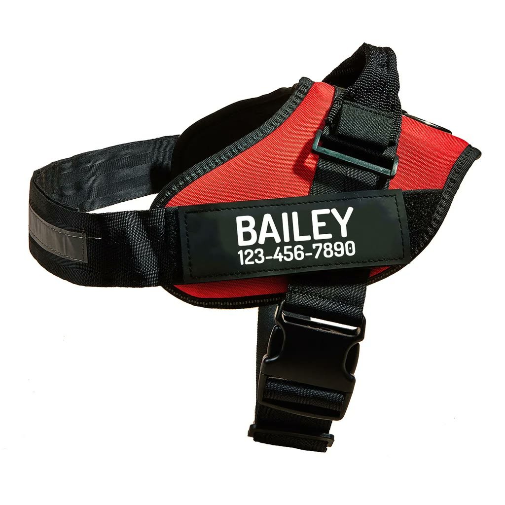 3. PawPawify Personalized No-Pull Harness — Best Ready-to-Wear Personalization