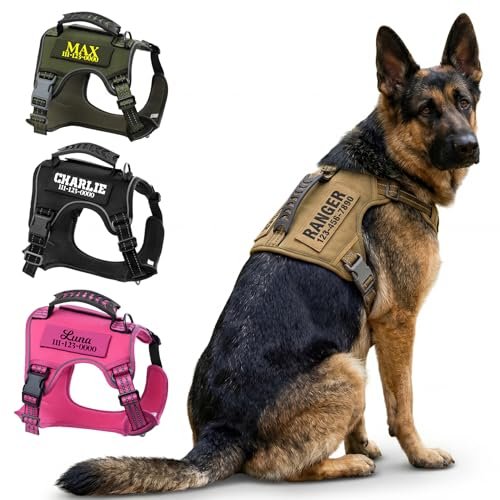 4. Pawblefy Personalized Tactical Harness — Best Custom-at-Order