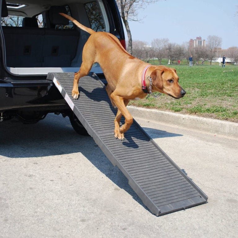 2. PetSTEP Folding Ramp + Side Door Entry Kit -- Best for Side Doors Specifically