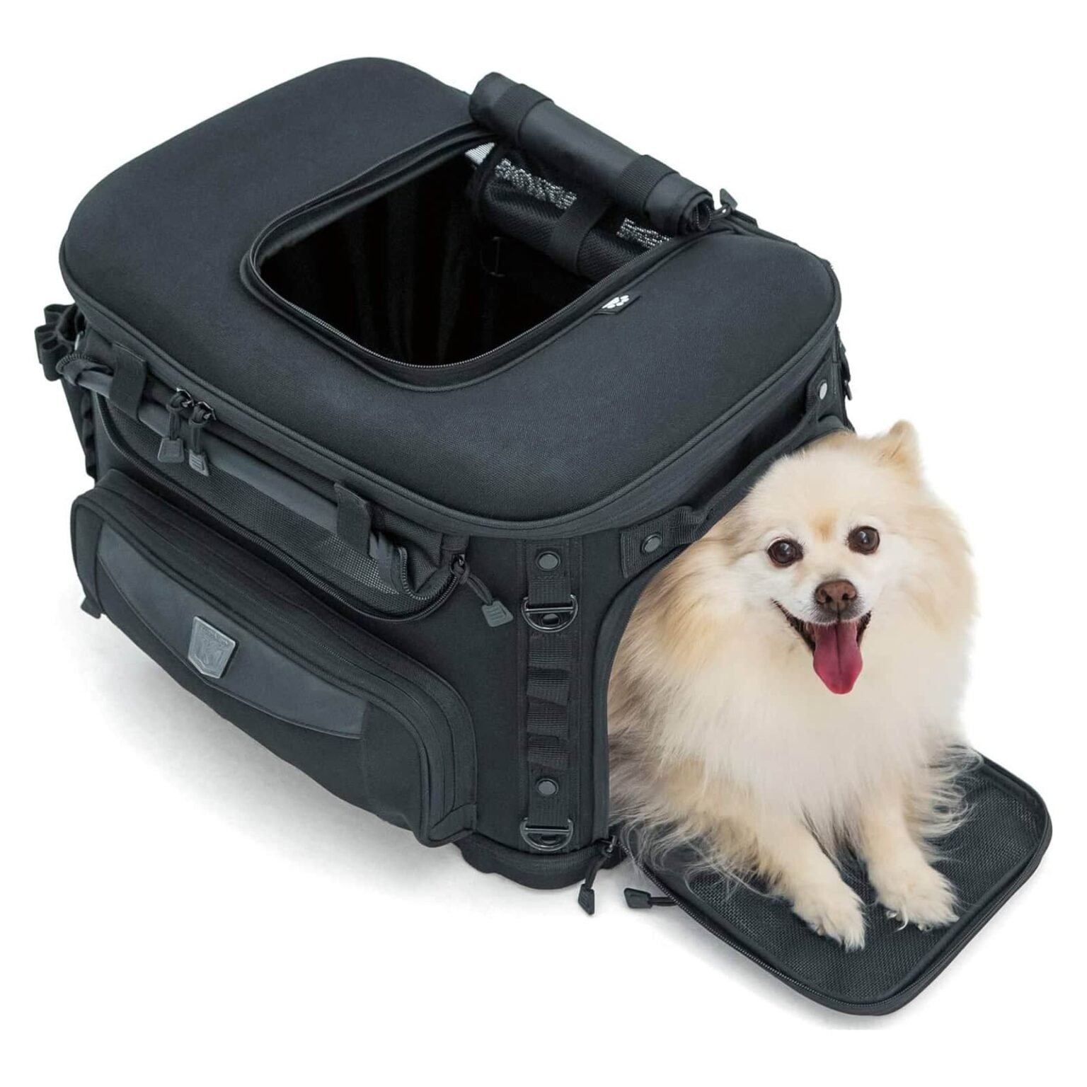 Best Dog Seat for Motorcycle 2026: 6 Picks