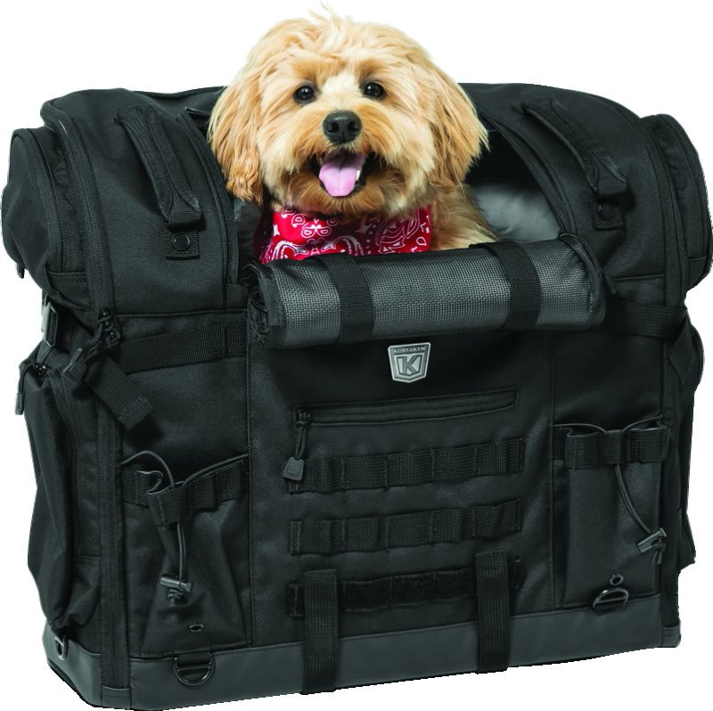2. Kuryakyn 5723 Titan Pet Palace — Best for Bigger Small Dogs
