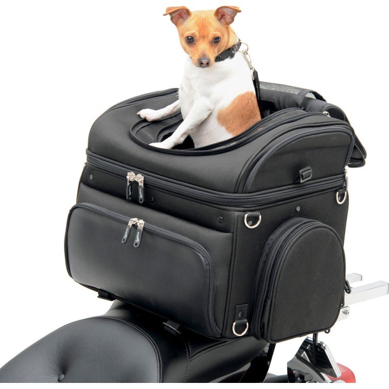 3. Saddlemen 3515-0131 Pet Voyager — Best Touring-Bike Fit
