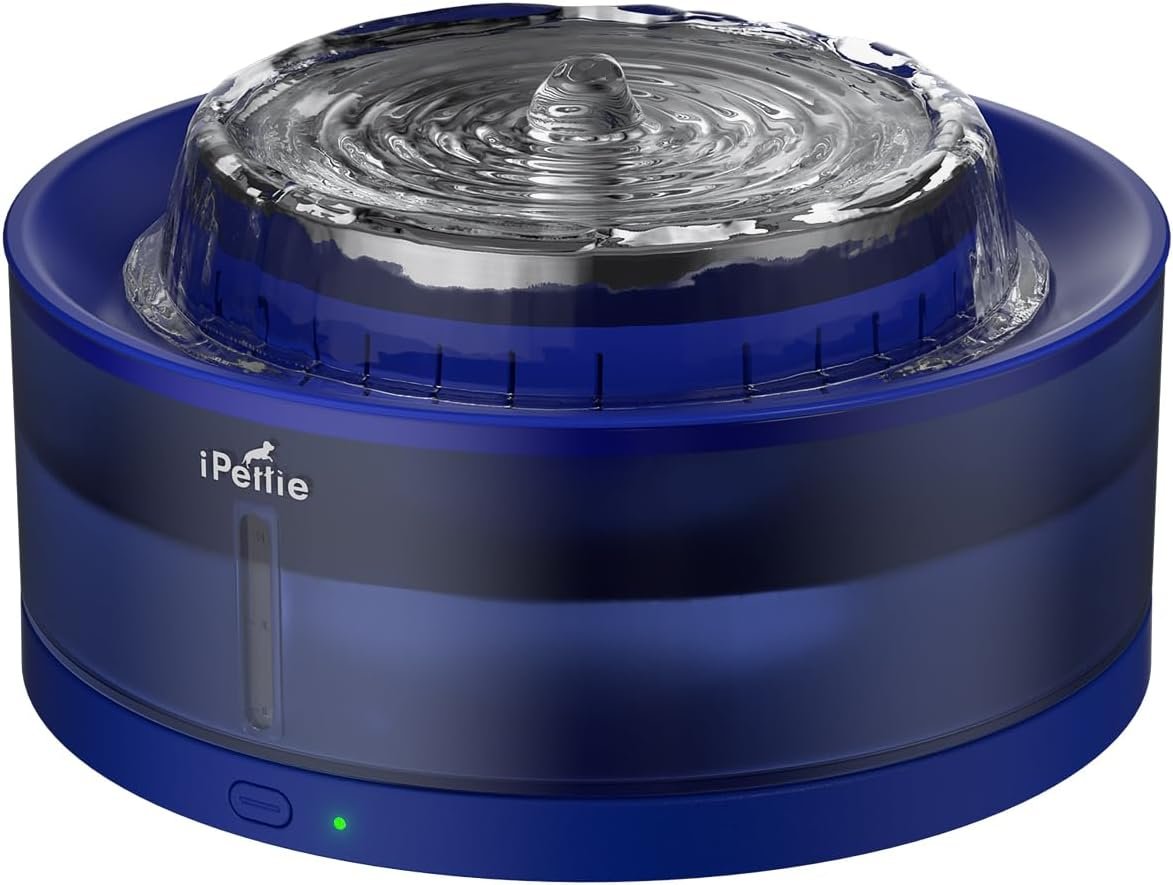 5. iPettie Cake 8L Dog Fountain — Best Splash-Proof