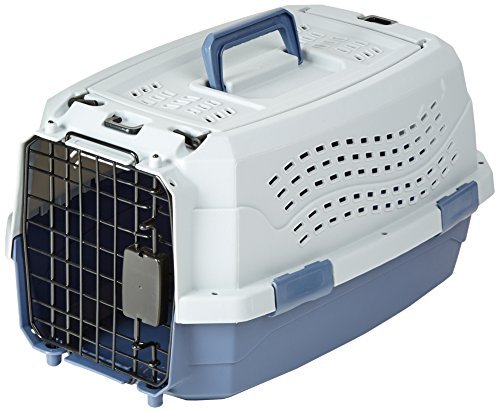 Amazon Basics 2-Door Pet Kennel 19" (Up to 11 lbs) — Best value easy-clean
