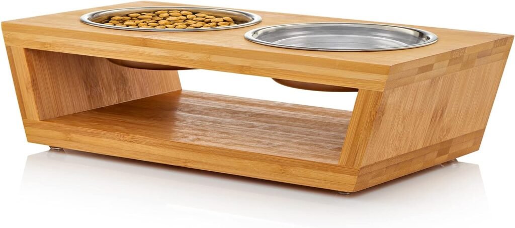 Best Elevated Dog Bowls for Small Dogs 2026: 6 Picks