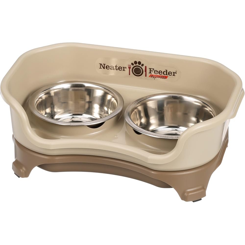 2. Neater Feeder Express (Small) — Best Mess-Proof