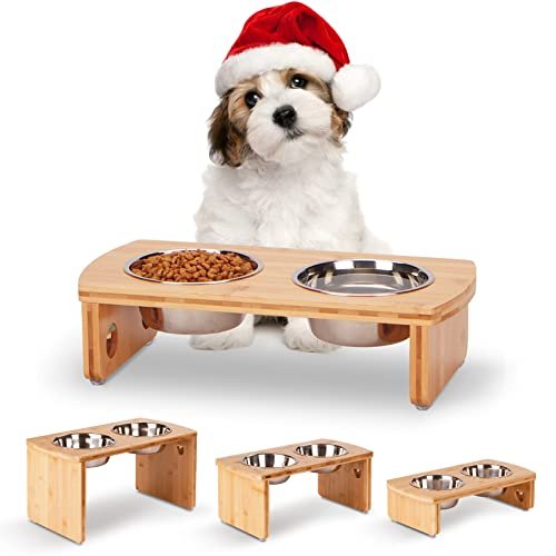4. JOYOPAW Bamboo Elevated Feeder — Best Simple Pick