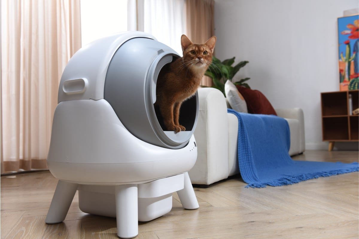 2. ELS PET Orbitie — Best ELS PET for Multi-Cat Homes