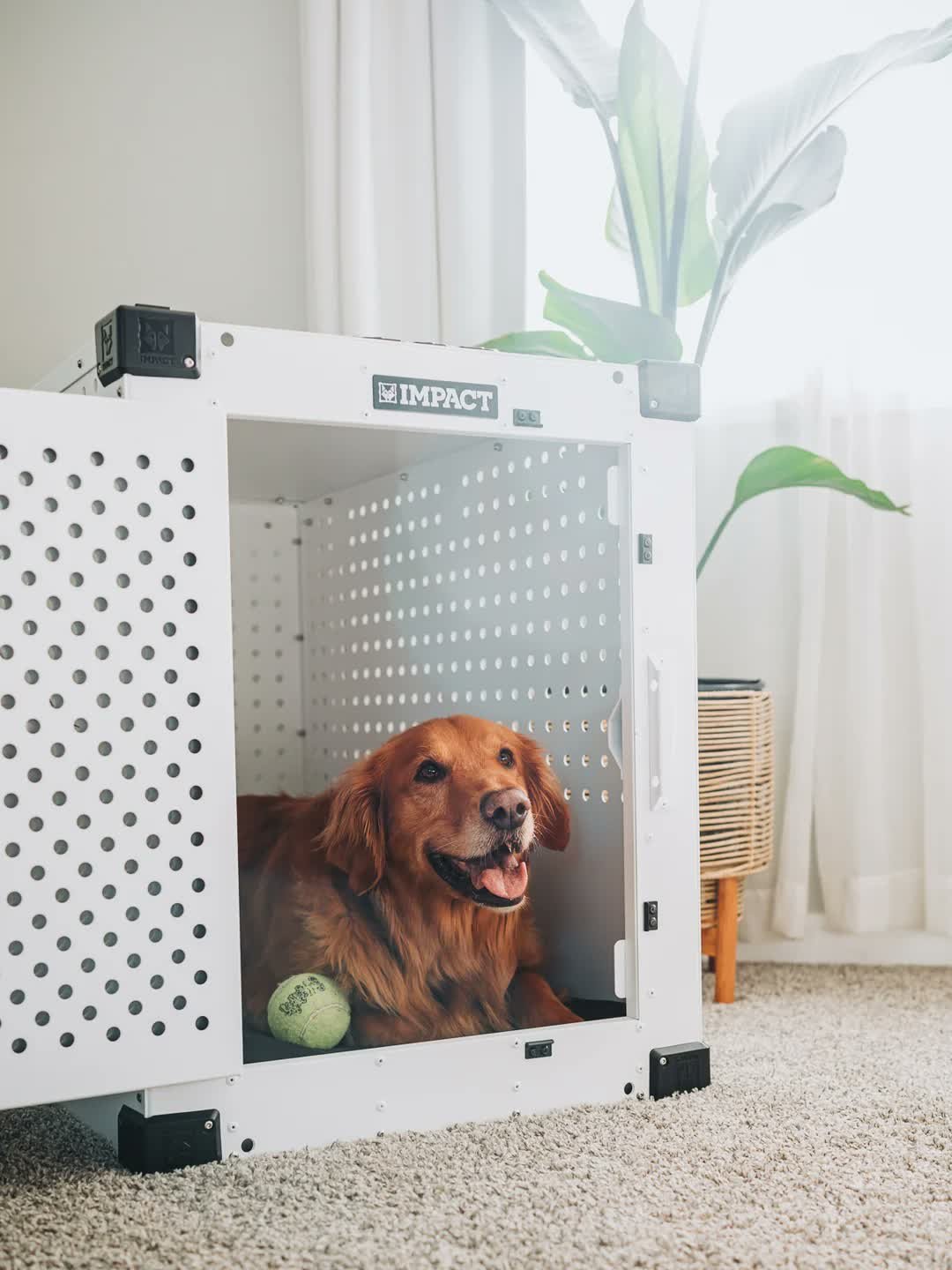 1. Impact Dog Crates High Anxiety Crate (48") — Best Overall