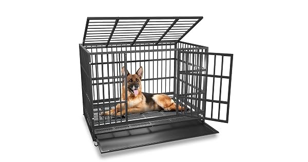 5. BOLDBONE Heavy Duty Crate (54") — Best for Giant Breeds