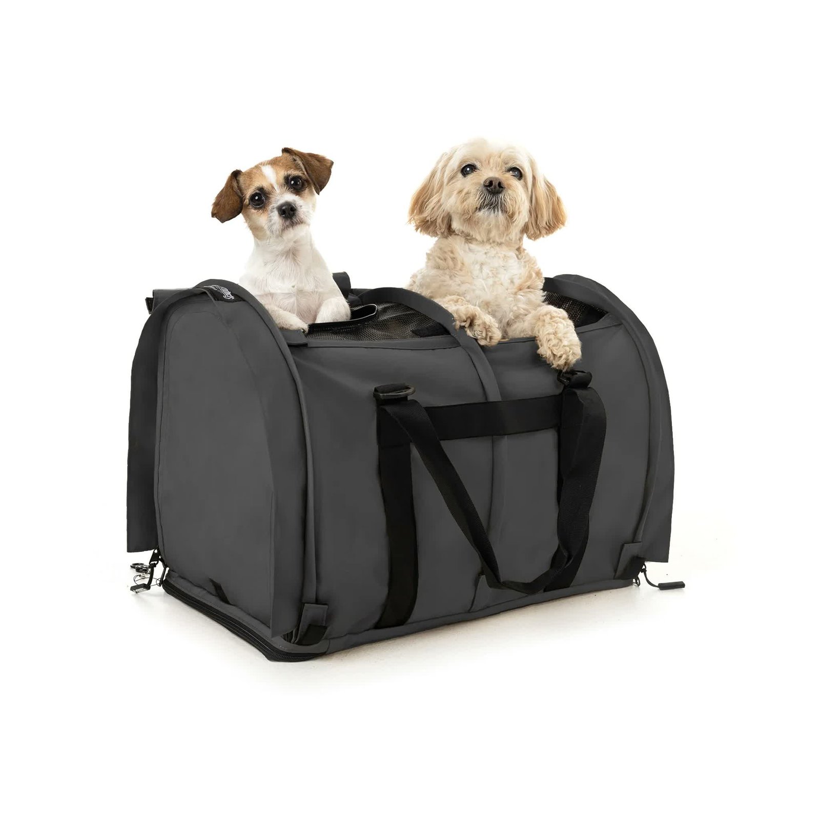 3. SturdiBag Divided XL — Best for Two Cats