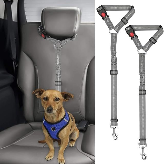 4. BWOGUE 2-Pack Headrest Restraint — Best universal fit