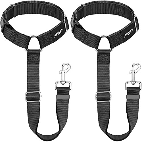 5. URPOWER 2-Pack Headrest Restraint — Best budget