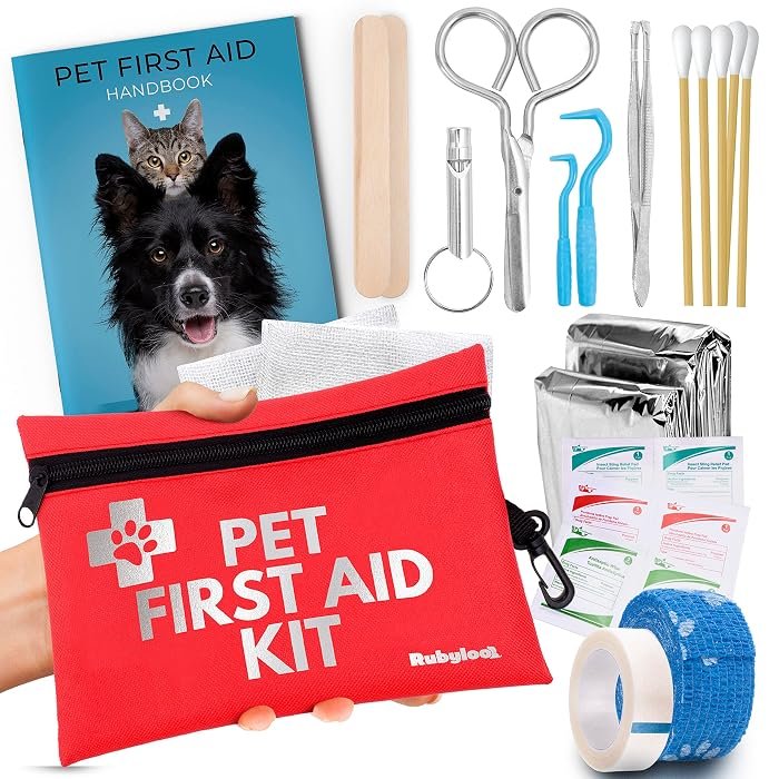 Rubyloo Travel Pack — Best Vet-Approved Value