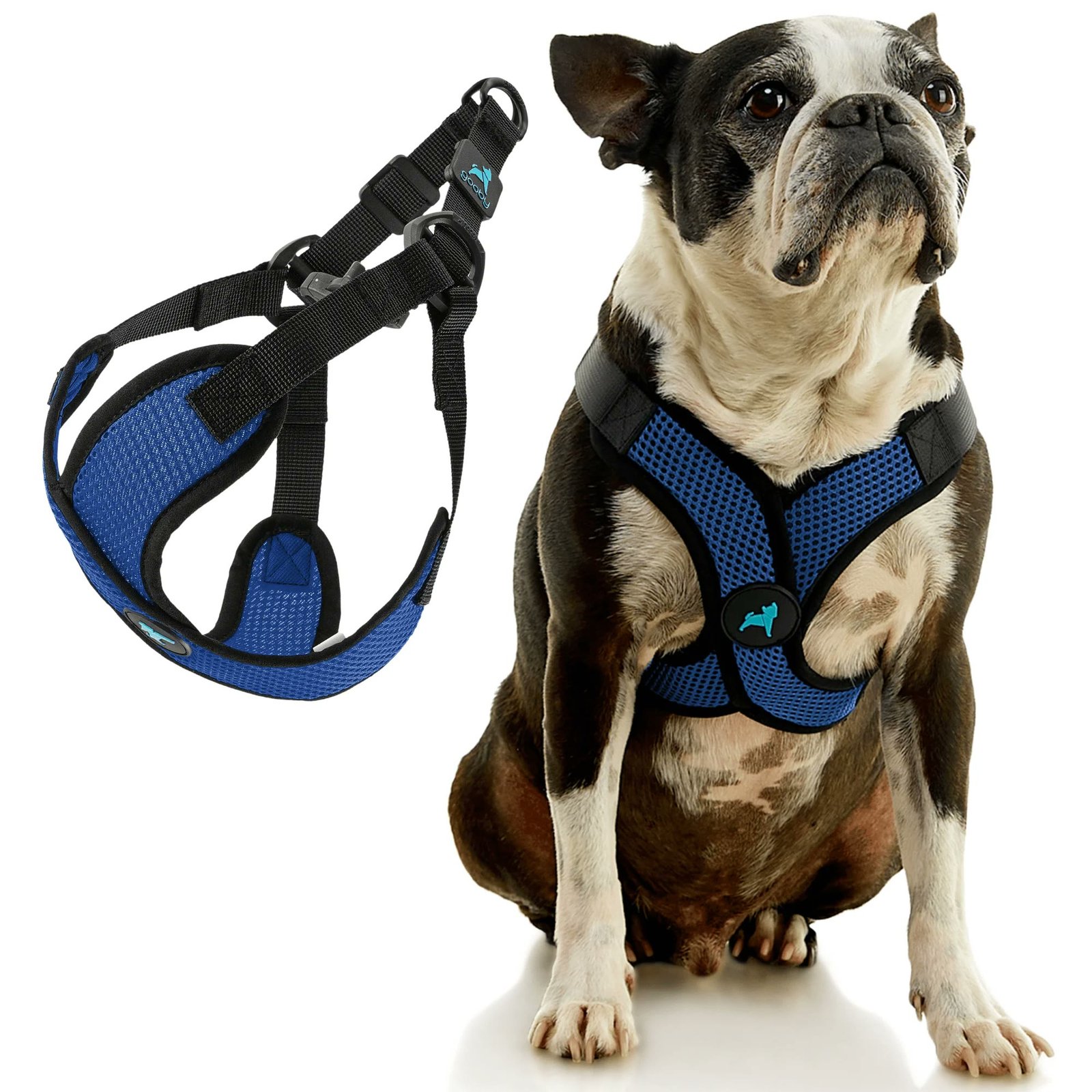 3. Gooby Comfort X Step-In Lite — Best for Head-Shy Dogs